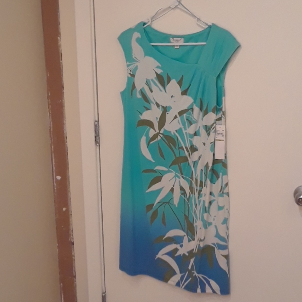 ❤HP❤ Tropical dress ☀️